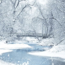 〨． ˒˒．іᥴᥱᑲ᥆rᥒᥱ ꜝꜝ ． ❆