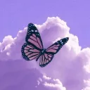 ♕𝑇𝐻𝐸 𝐶𝑂𝑍𝑌 𝐶𝑂𝑅𝑁𝐸𝑅♕