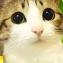 Kawaii Simulator