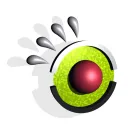 The Intellectful Bunch