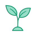 🌱  VERDANT
