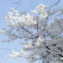 .  ☁  `  /akino     ,