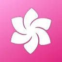 Sociality 𓍼 Italia 𓍼 Community 𓍼 Anime