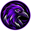 Raven Control Discord Bot