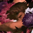 In Bloom development server