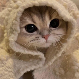 Discovery icon for Dav's Lounge Discord server