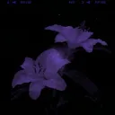 Astronova Discord Server