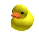 Duck Team