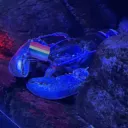 GAYMERS