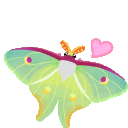 MOTH EMPIRE ❀⋆.ೃ࿔*:･