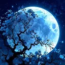 Moonlit Lounge