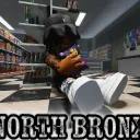 North Bronx