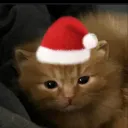 𝑮𝒊𝒂 𝑫𝒊̀𝒏𝒉 𝑵𝒉𝒂̀ 𝑴𝒆̀𝒐😼