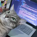server.exe