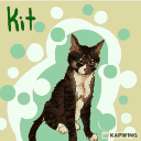Kit Kat Modded SMP