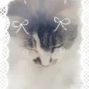 𝒱𝒾𝒸𝓉𝑜𝓇𝒾𝒶'𝓈 𝒽𝒾𝑔𝒽 𝓈𝒸𝒽𝑜𝑜𝓁✮⋆˙