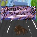 Rezerwat Patologii