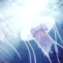 𝕪𝕒𝕫𝕦'𝕤 𝕔𝕝𝕦𝕓