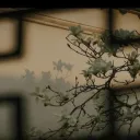𝐓𝐎𝐔𝐆𝐄𝐍 (闘玄) | 忍 | 𝐒𝐋𝟐 𝐑𝐏
