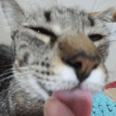 the autism 2.0 Discord server icon