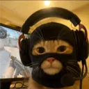 Blackfirez's Stream