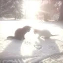 ིྀᴅᴏʟʟʜᴏᴜsᴇʀs ིྀ
