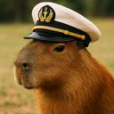 CAPYTAIN $CAPT Discord Server Icon