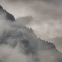 A Forbidden Shipwreck