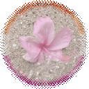 𐔌            sappho’s island             ✂ Discord server icon