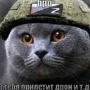 Дача