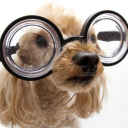 verum Discord server icon