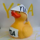 YDA Hangout