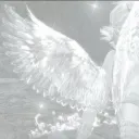 Harvested Affection: Angels sanctuary