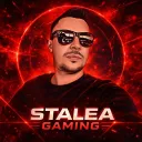 STALEA GAMING FAM 🦁
