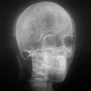 .gg/neurotica