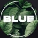 Blue gen Discord Server Icon