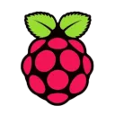 BerryPing Network