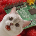 Ping Realm Berry Discord server icon