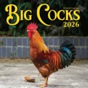 COCK Compare Tournaments's icon