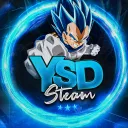 YSD STEAM