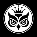 Wise Owls 🦉 Server Image