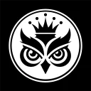 Wise Owls 🦉