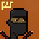 Ninja Punks