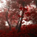✩ bloodletter