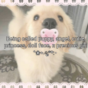 Be Mine! Discord server icon