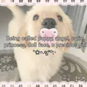 Be Mine!