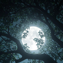 Snaffly's Corner Server Icon