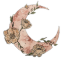 ࣪ ִֶָ☾. 𝐌𝐨𝐨𝐧𝐥𝐢𝐠𝐡𝐭ᯓᡣ𐭩 Discord server icon