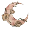 ࣪ ִֶָ☾. 𝐌𝐨𝐨𝐧𝐥𝐢𝐠𝐡𝐭ᯓᡣ𐭩