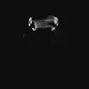 [EOL] ~/diversion